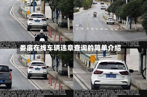 娄底在线车辆违章查询的简单介绍-第1张图片