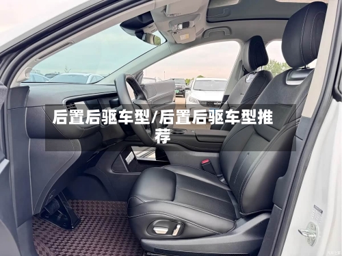 后置后驱车型/后置后驱车型推荐
