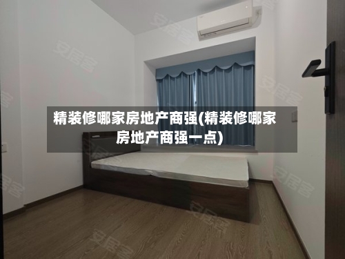 精装修哪家房地产商强(精装修哪家房地产商强一点)